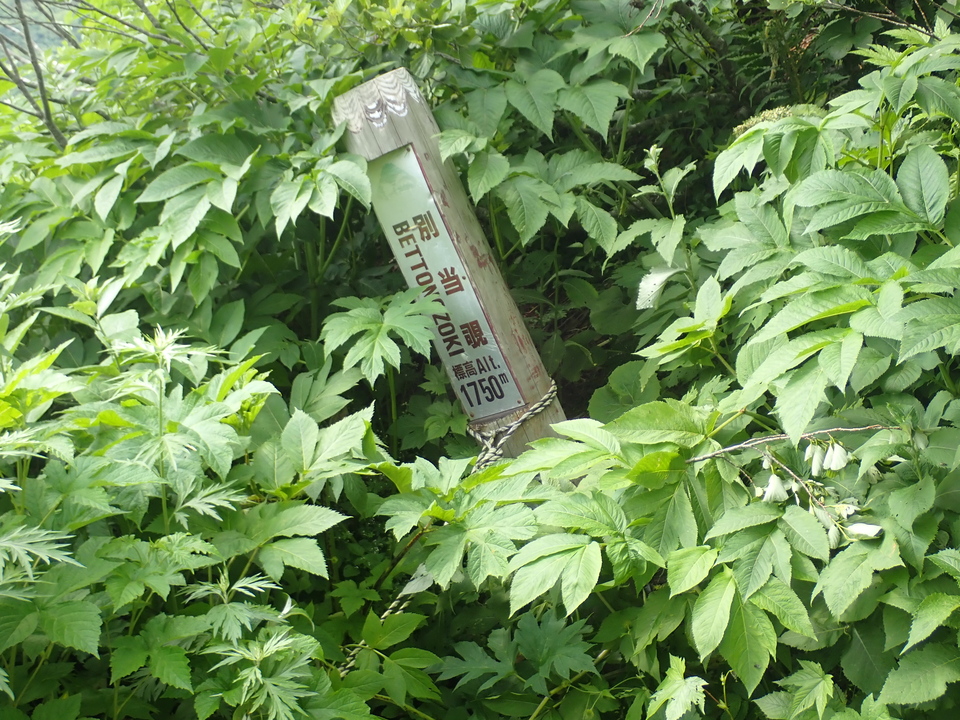 P7027750_mid.jpg