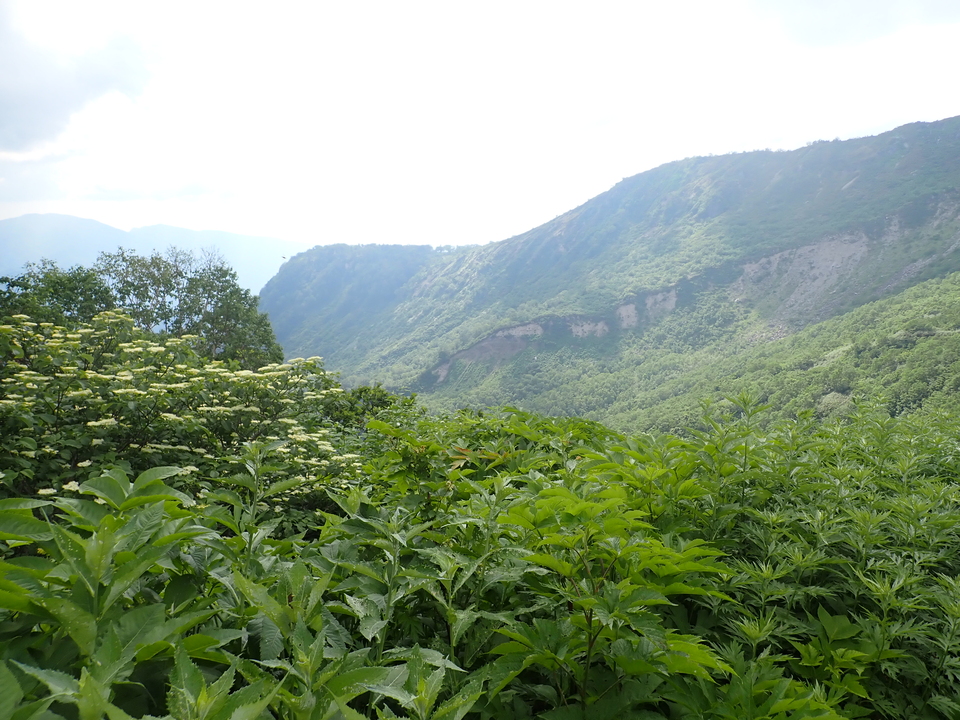 P7027752_mid.jpg