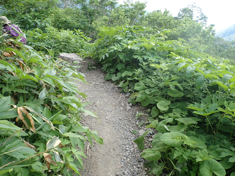 P7027761_mid.jpg