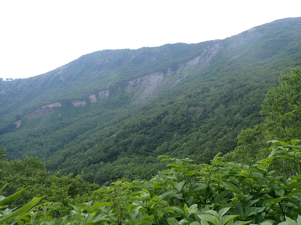P7027762_mid.jpg