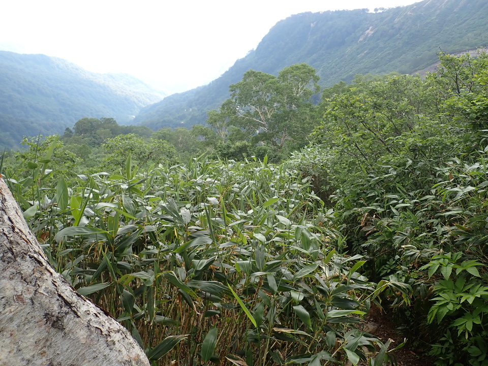 P7027765_mid.jpg