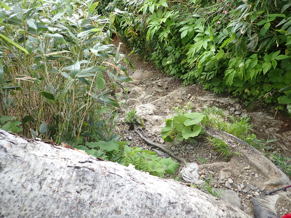 P7027766_mid.jpg