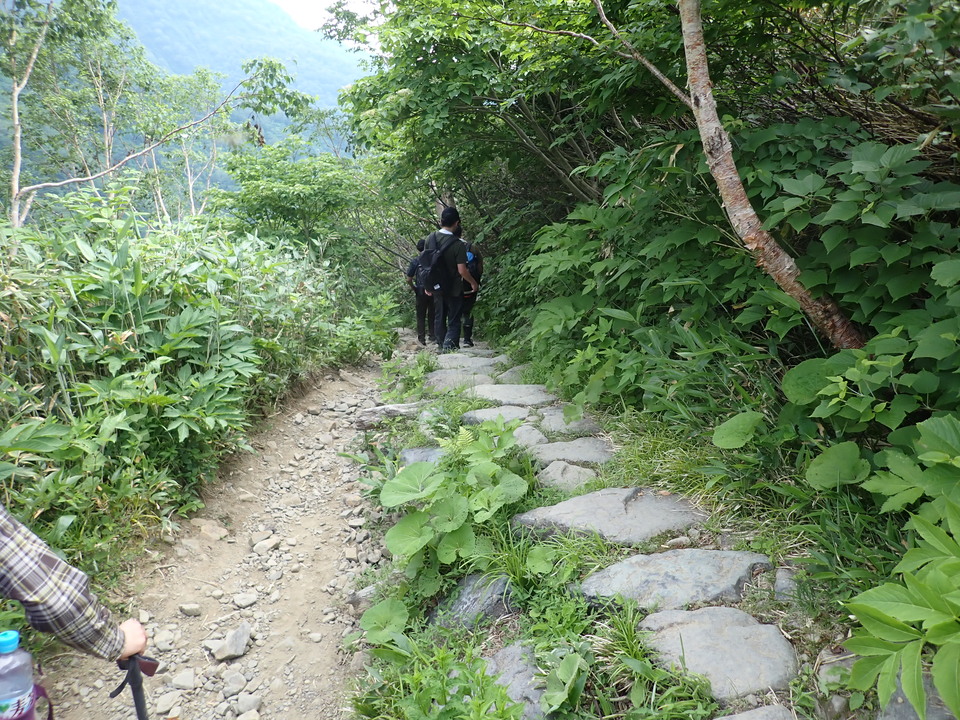 P7027767_mid.jpg
