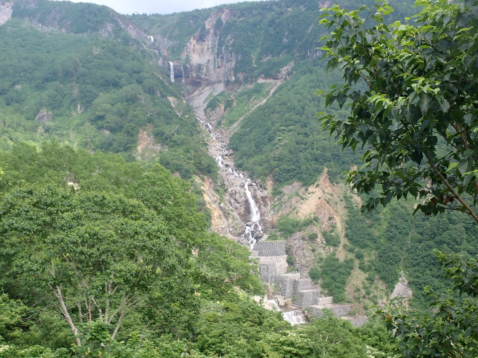P7027768_mid.jpg