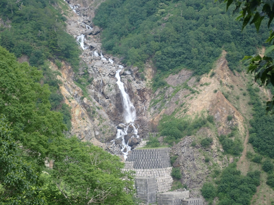 P7027769_mid.jpg