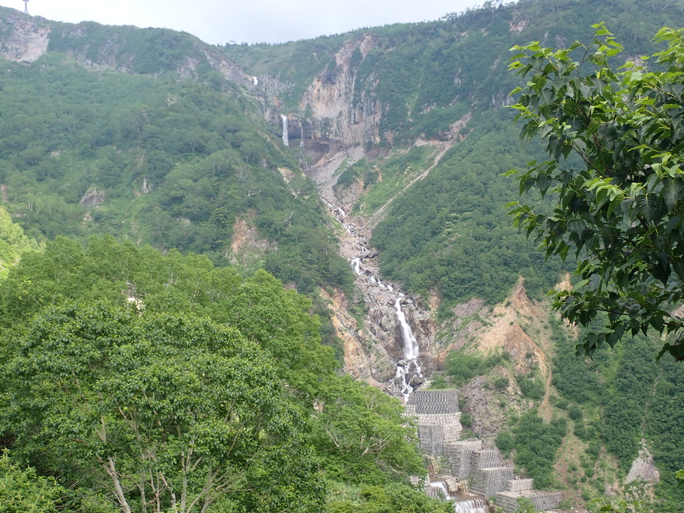 P7027771_mid.jpg
