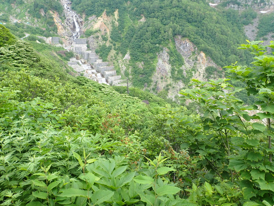 P7027772_mid.jpg