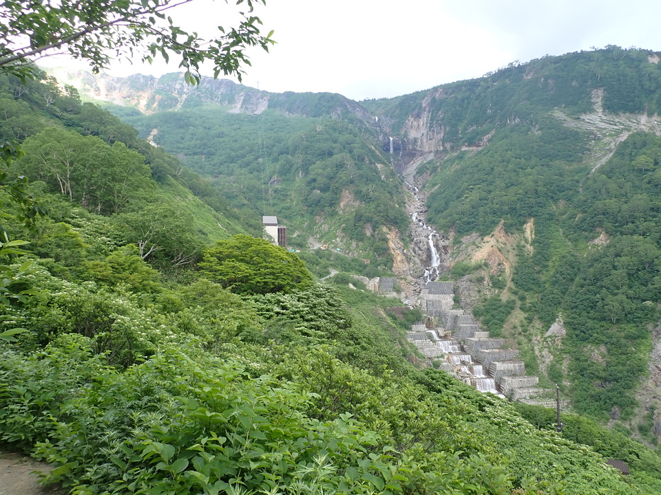 P7027773_mid.jpg