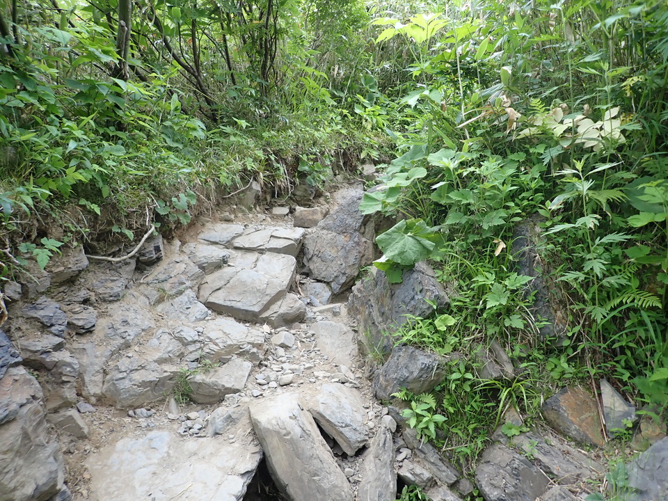 P7027775_mid.jpg