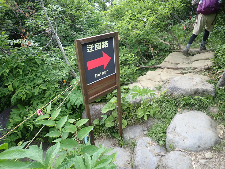 P7027786_mid.jpg