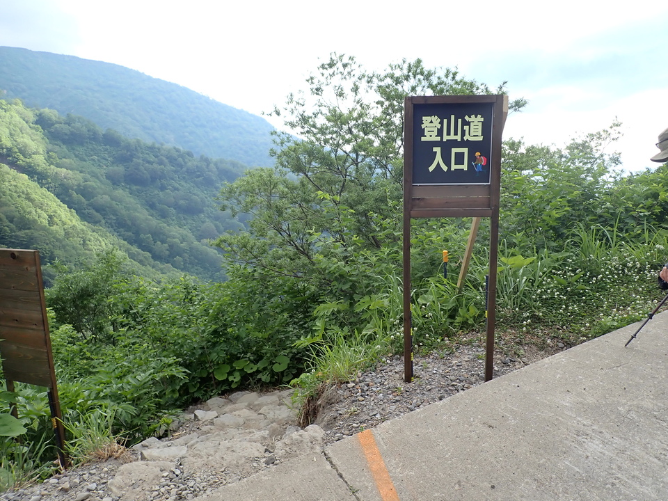P7027790_mid.jpg