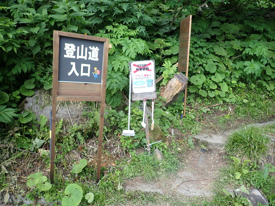 P7027791_mid.jpg