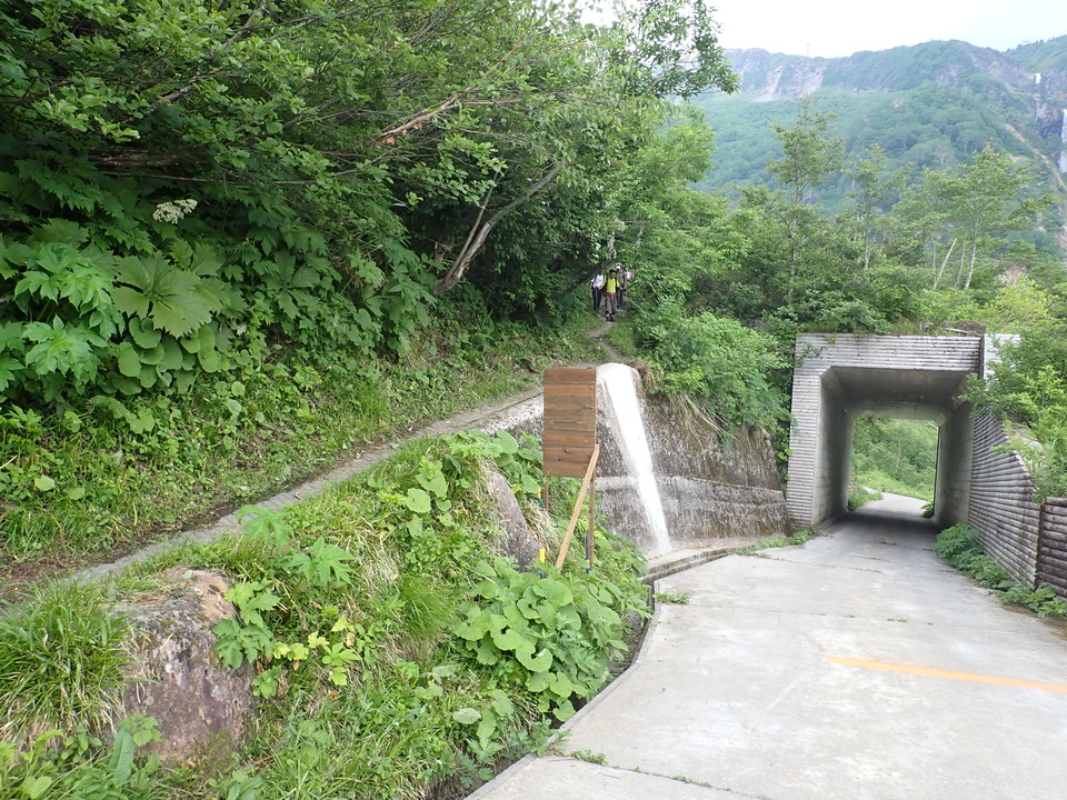 P7027792_mid.jpg