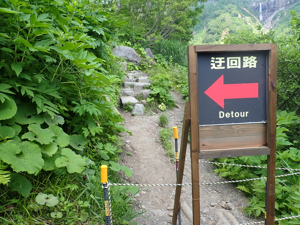 P7027793_mid.jpg