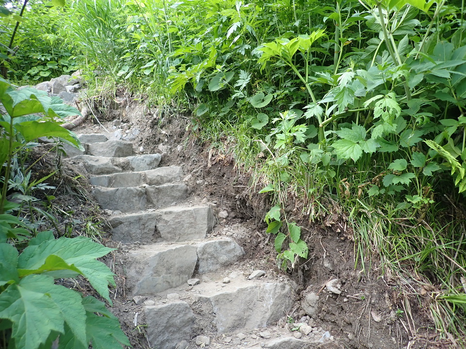 P7027794_mid.jpg