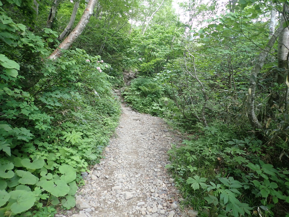 P7027798_mid.jpg