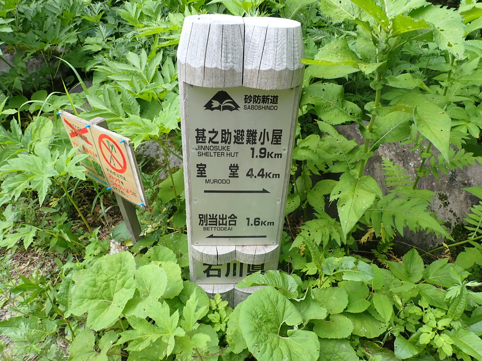 P7027799_mid.jpg