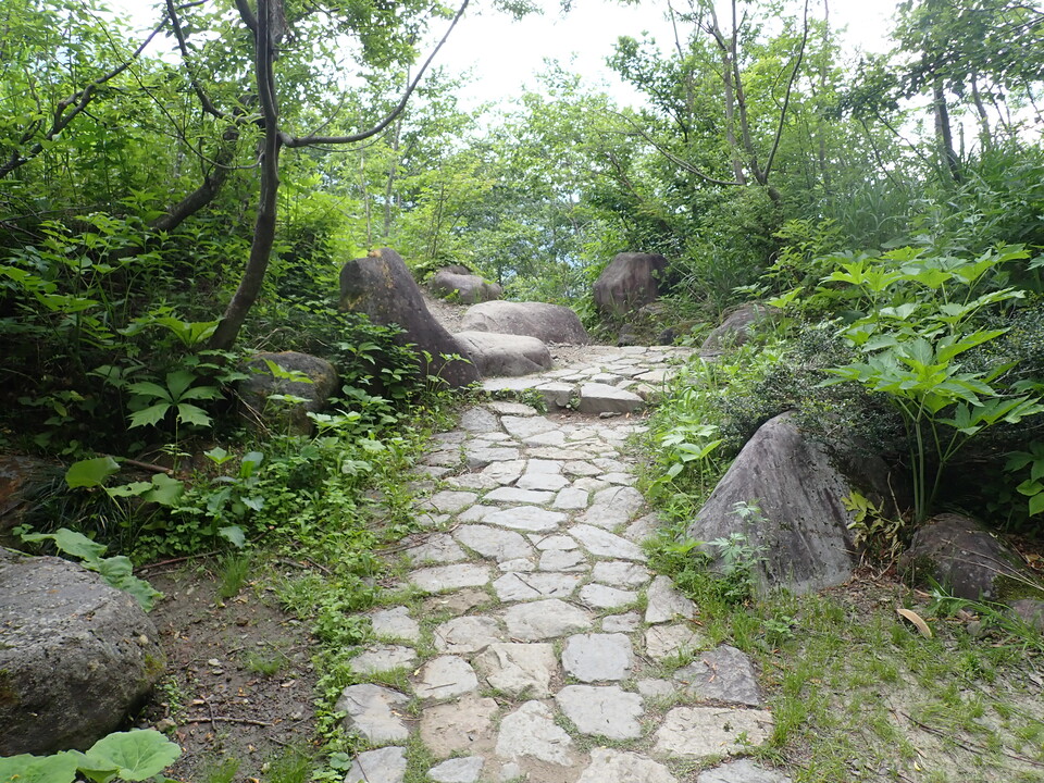 P7027800_mid.jpg