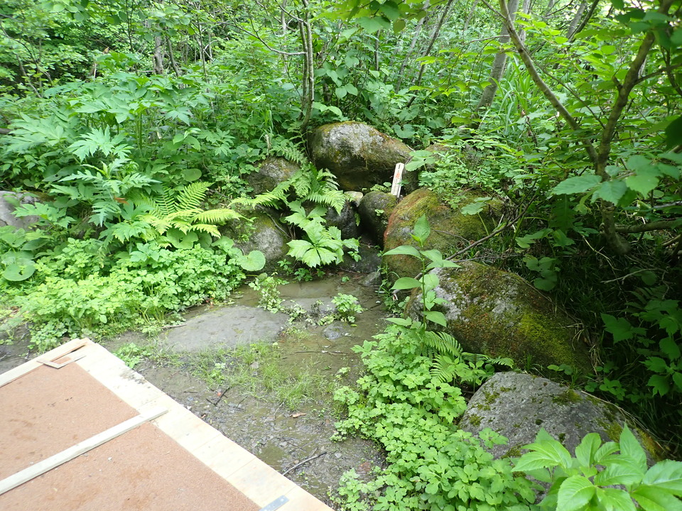 P7027801_mid.jpg