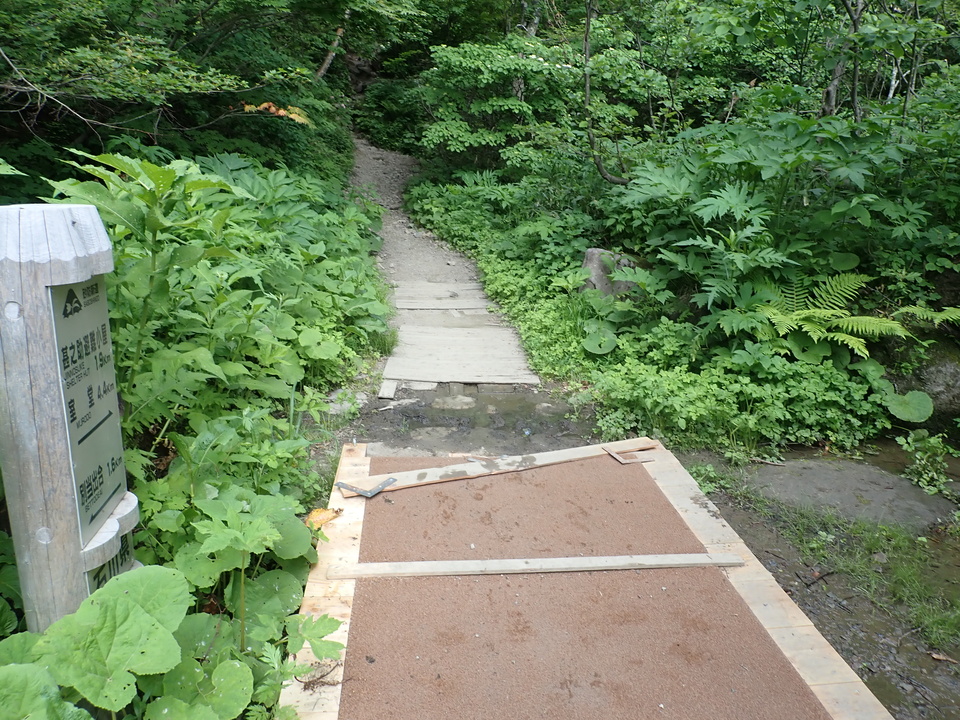 P7027802_mid.jpg