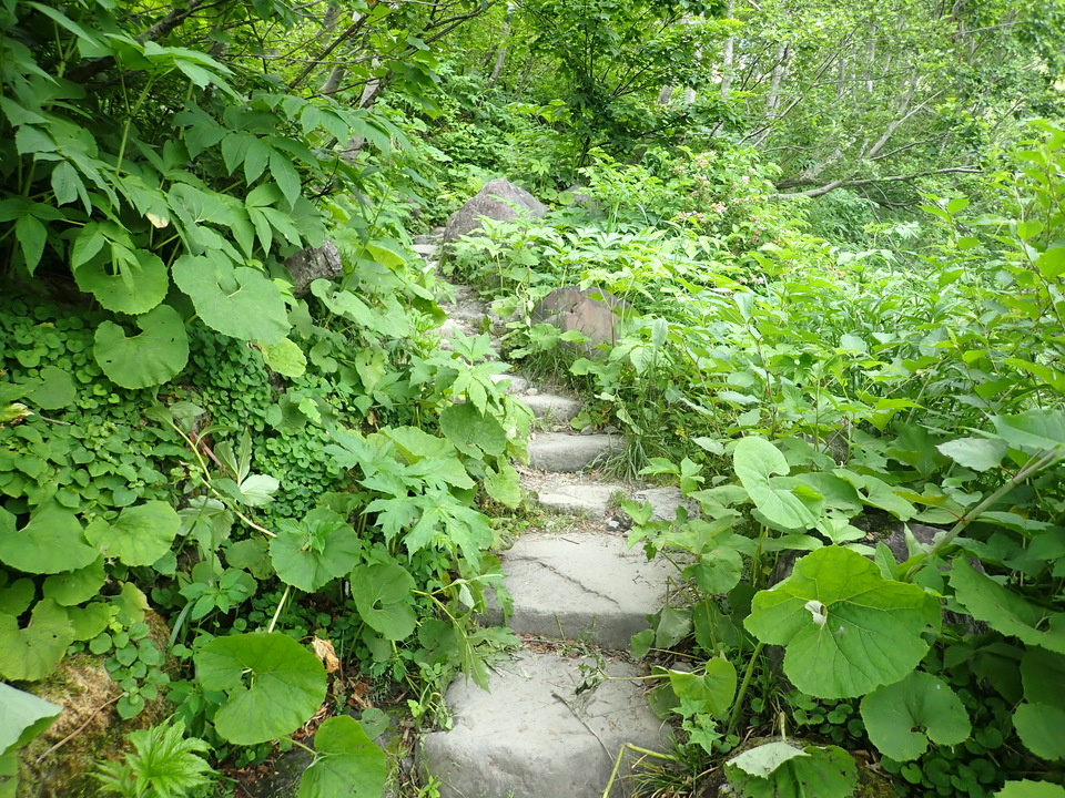 P7027803_mid.jpg