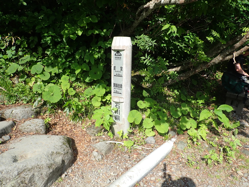 P7027806_mid.jpg