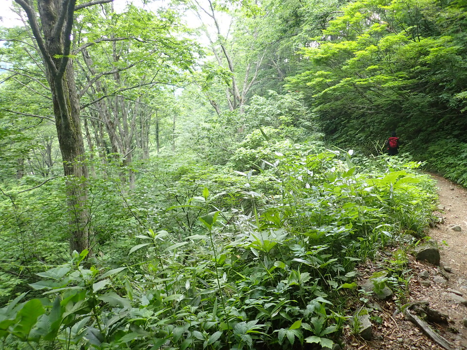 P7027812_mid.jpg