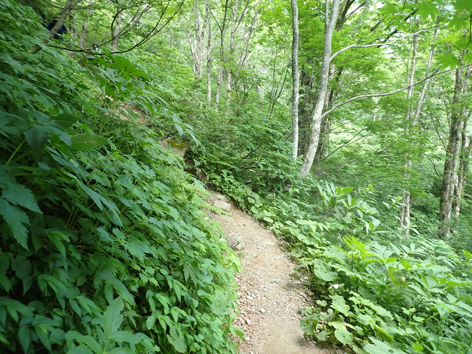P7027813_mid.jpg