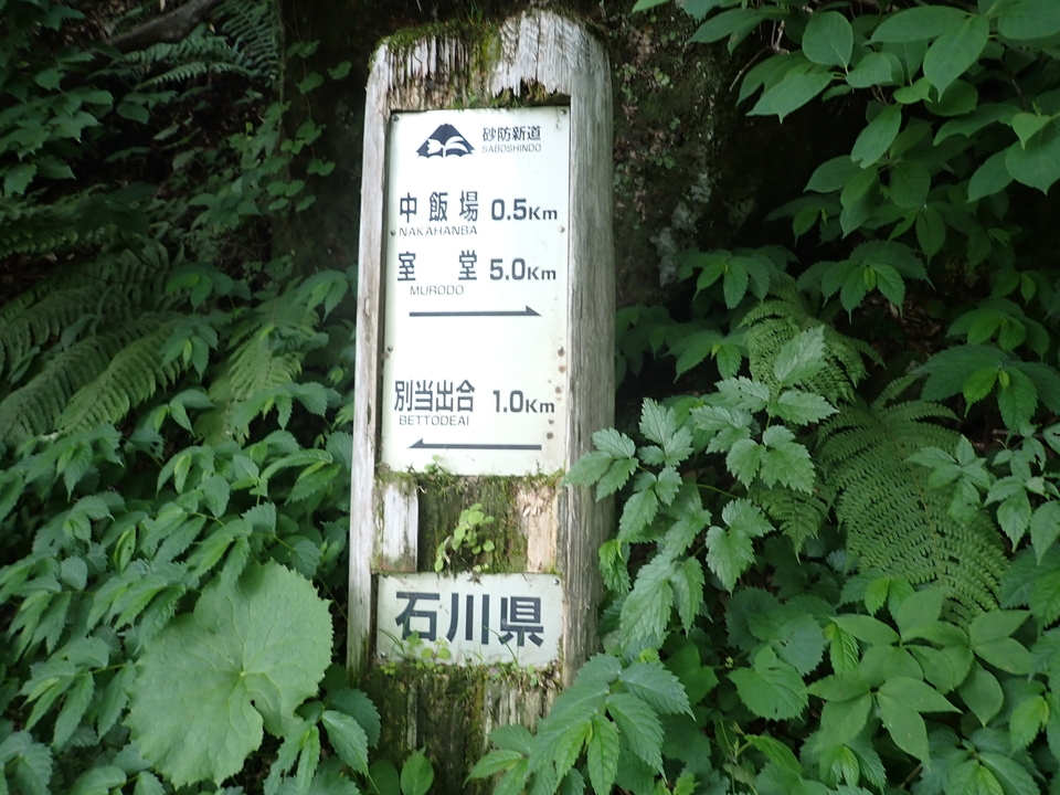 P7027814_mid.jpg