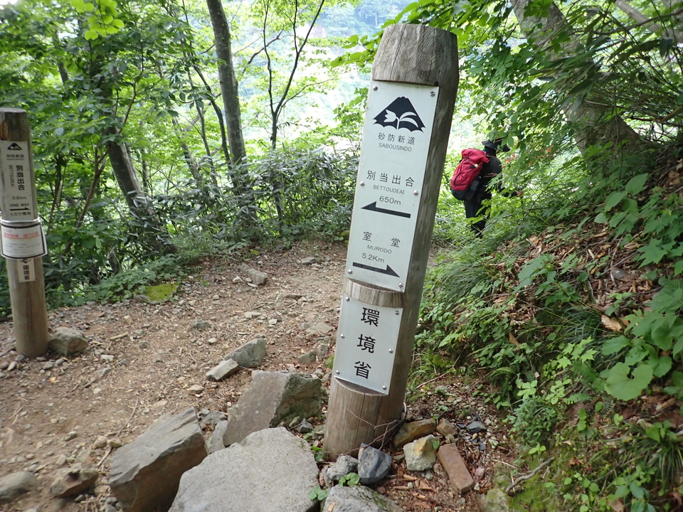 P7027818_mid.jpg