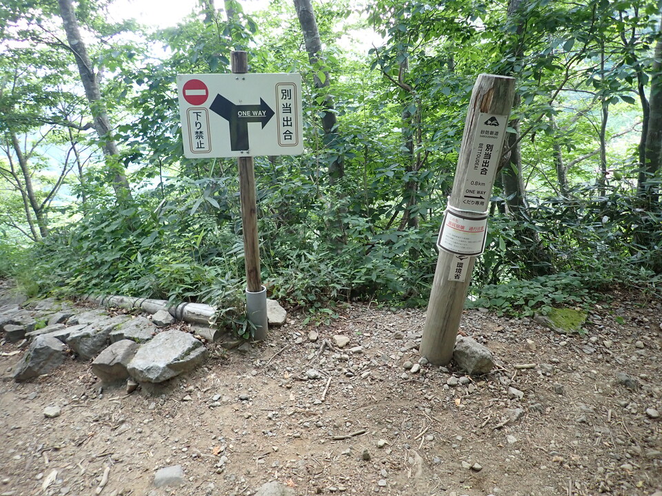 P7027819_mid.jpg