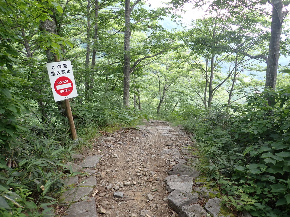 P7027820_mid.jpg