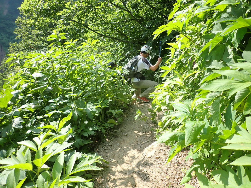 P7027826_mid.jpg
