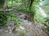 P7027830_thumb.png