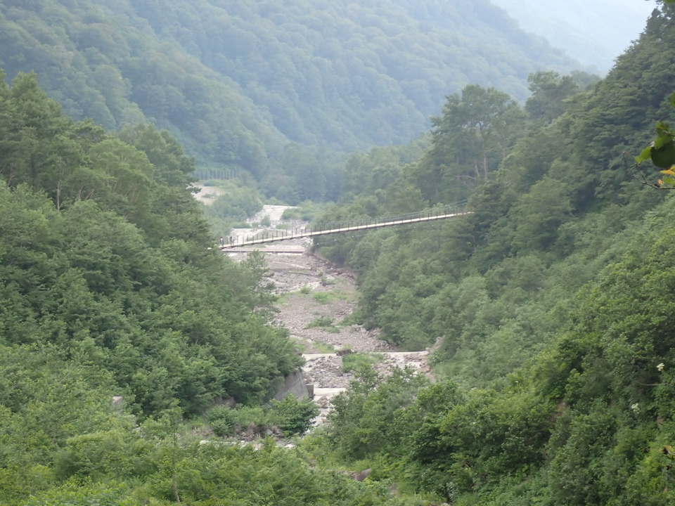 P7027832_mid.jpg