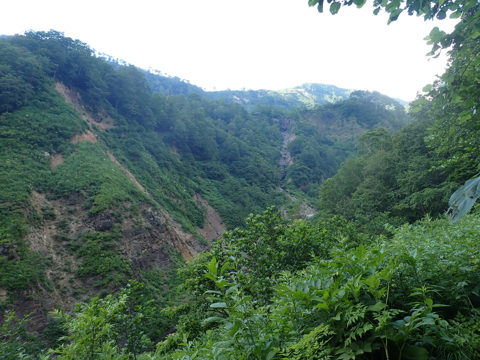 P7027834_mid.jpg