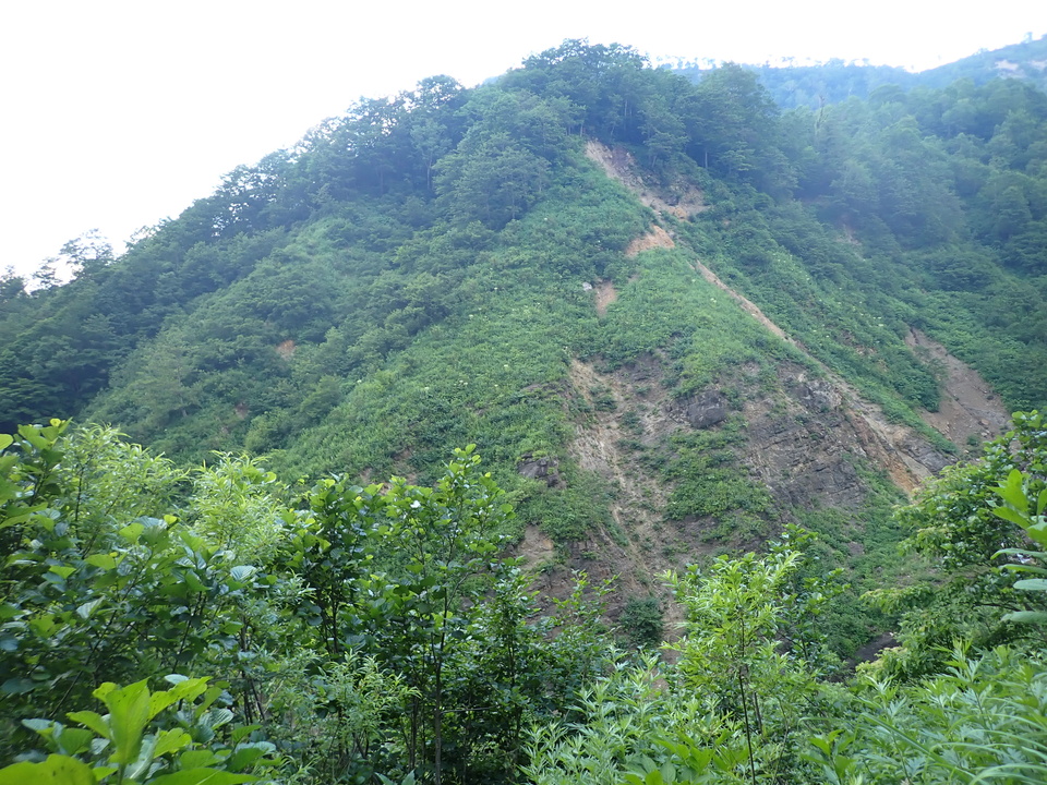 P7027836_mid.jpg