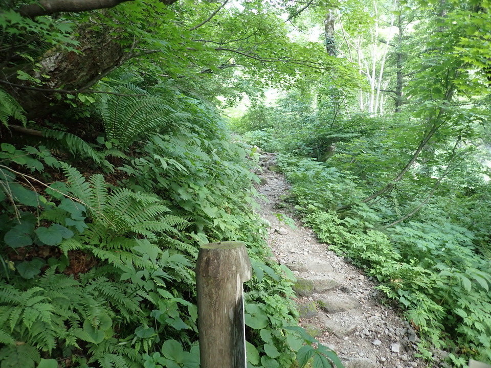 P7027837_mid.jpg