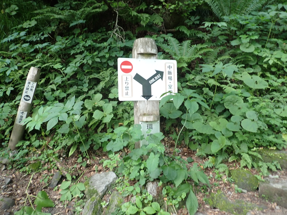 P7027838_mid.jpg
