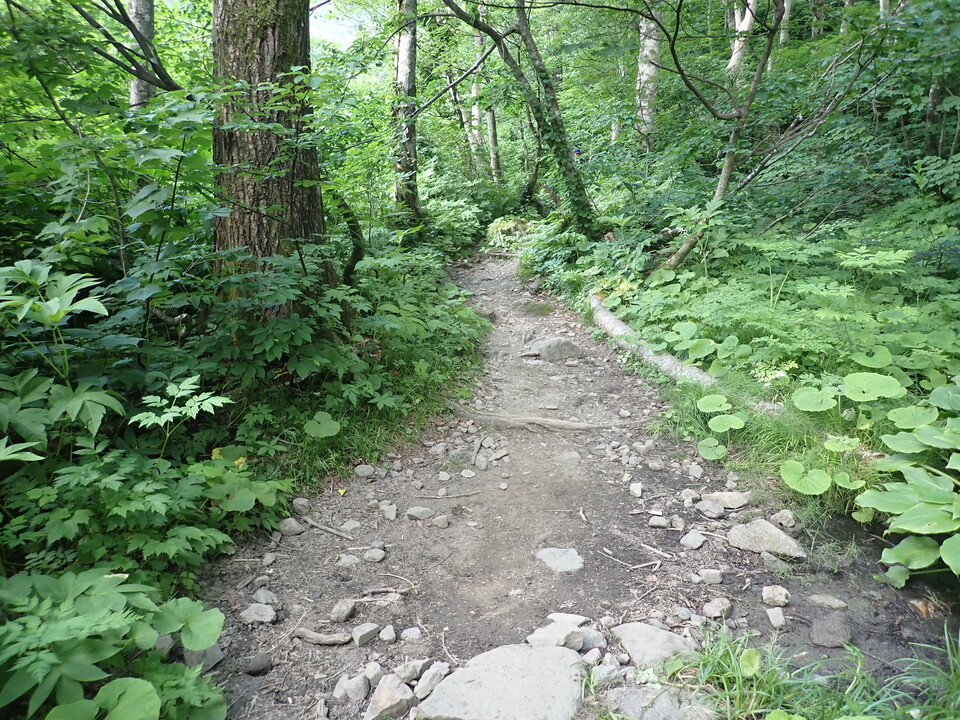 P7027842_mid.jpg