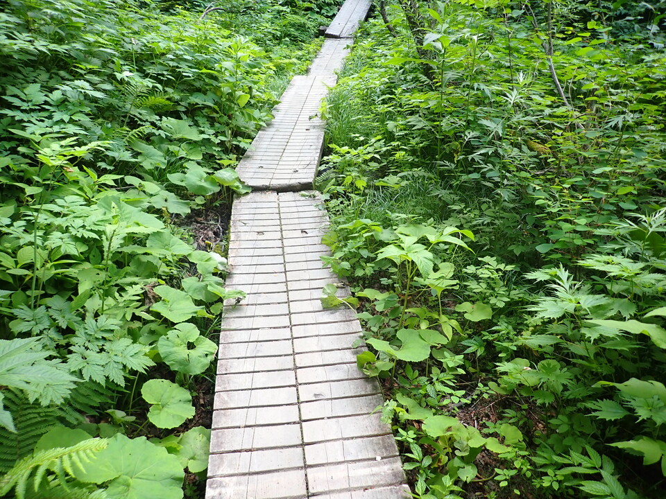 P7027843_mid.jpg