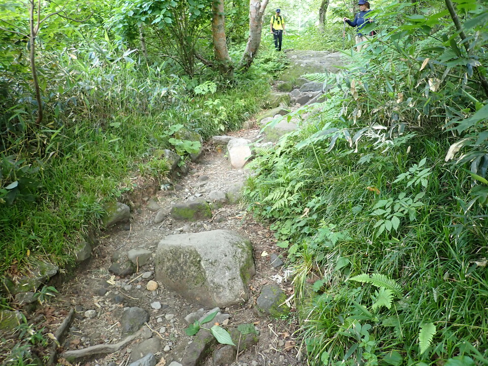 P7027845_mid.jpg