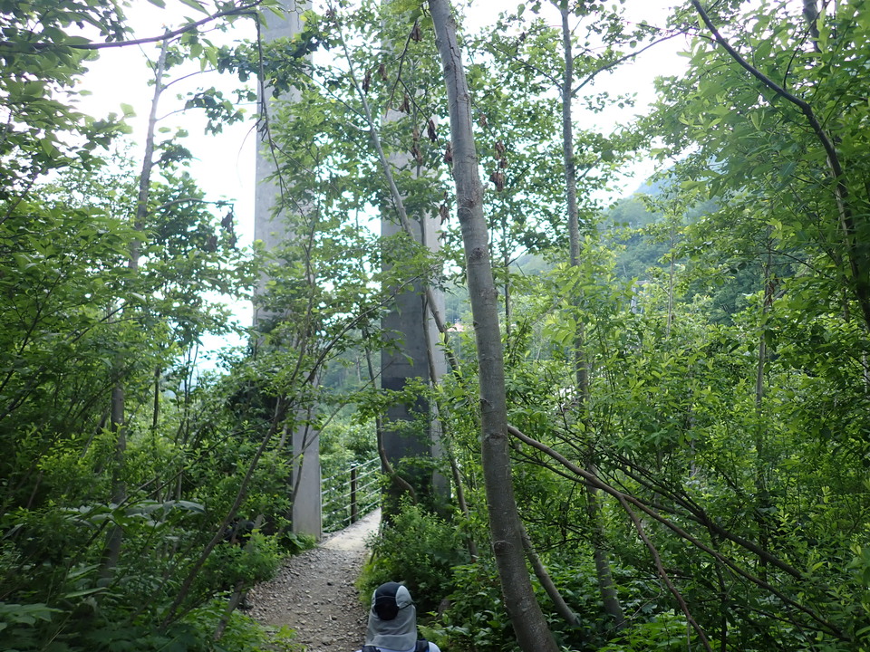 P7027846_mid.jpg