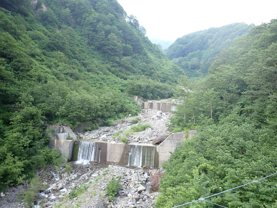 P7027850_mid.jpg