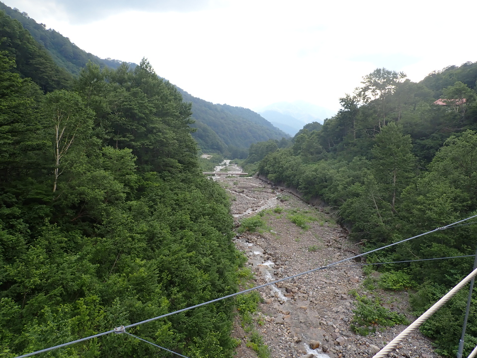 P7027851_mid.jpg