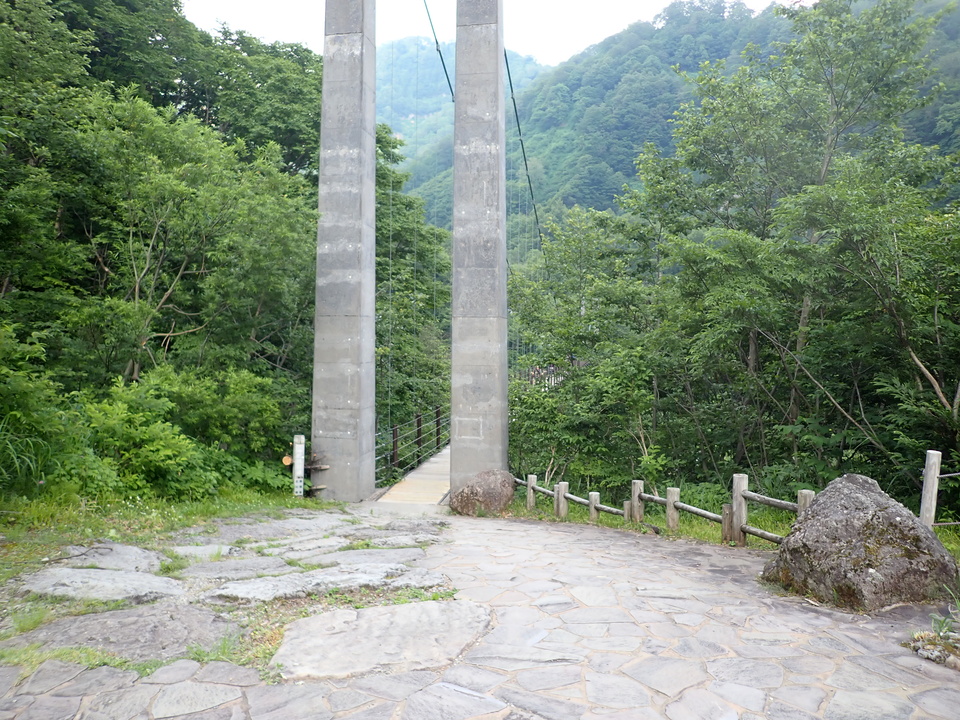 P7027855_mid.jpg