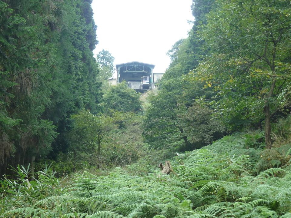 P1120554_mid.jpg