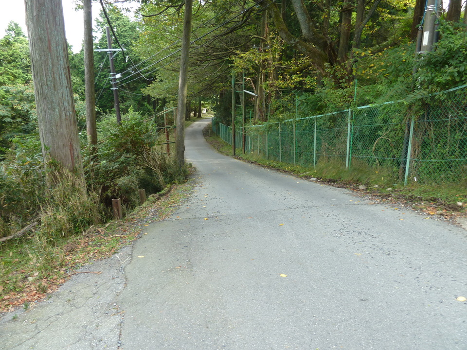 P1120560_mid.jpg