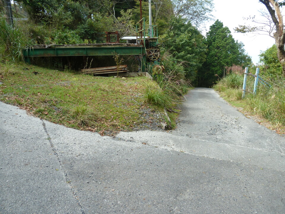 P1120562_mid.jpg