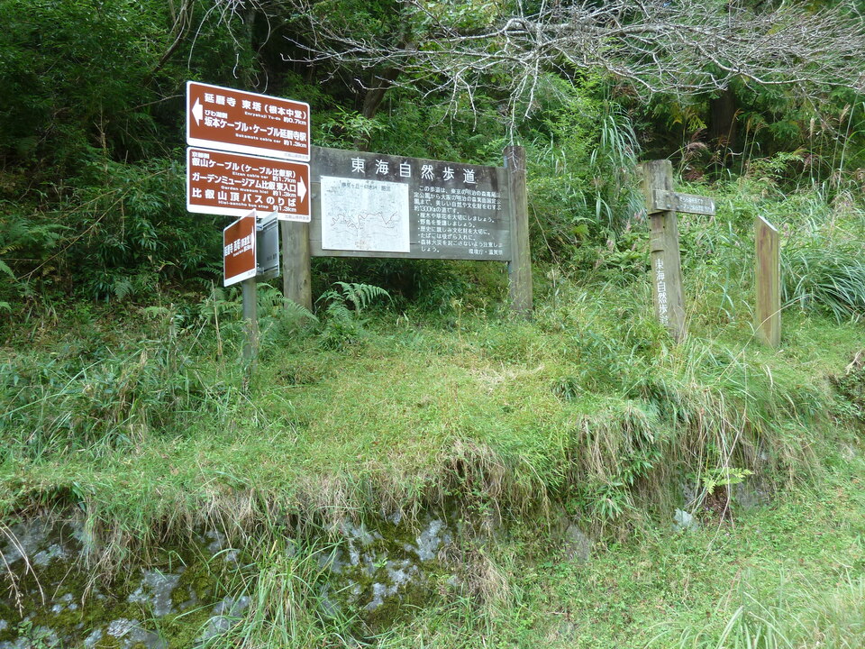 P1120604_mid.jpg